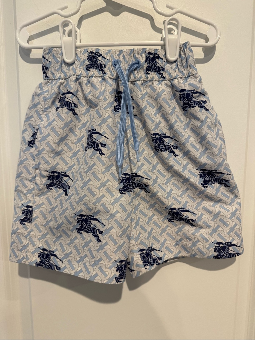Burberry Light Blue and Navy Printed Athletic Shorts